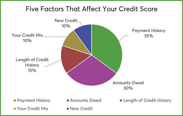 Five Factors That Affect Your Credit Score - Pie Chart