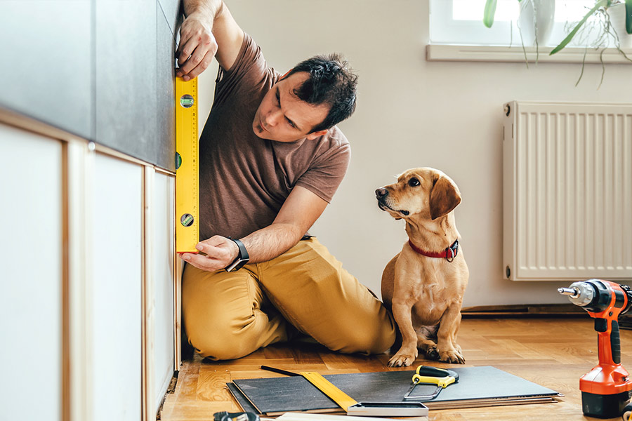 Man Renovating Home with Dog